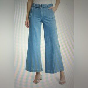 New with tags Frame le Palazzo Danbury clean